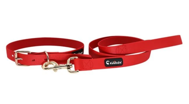 Uchel-diwedd-Cŵn Coler Cŵn Personol Leash