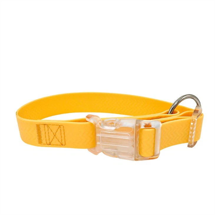 Glow Yn y Coler Anifeiliaid Anwes Tywyll