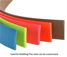 Tynnol Uchel Gwahanol Feintiau Lliwiau Plastig gwrth-ddŵr PVC gorchuddio neilon webin