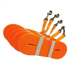 Leash Hyfforddiant Cŵn Gwrth-ddŵr Personol y gellir ei dynnu'n ôl